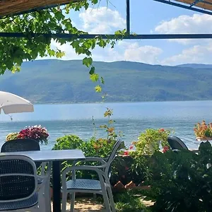 Nesti Relax , Lin Albania